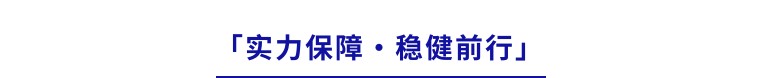 5a13202501de65c58a3083fa72a986db-sz_8292
